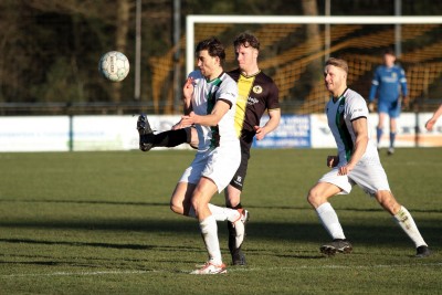 Vorden1-Trekvogels 1-1